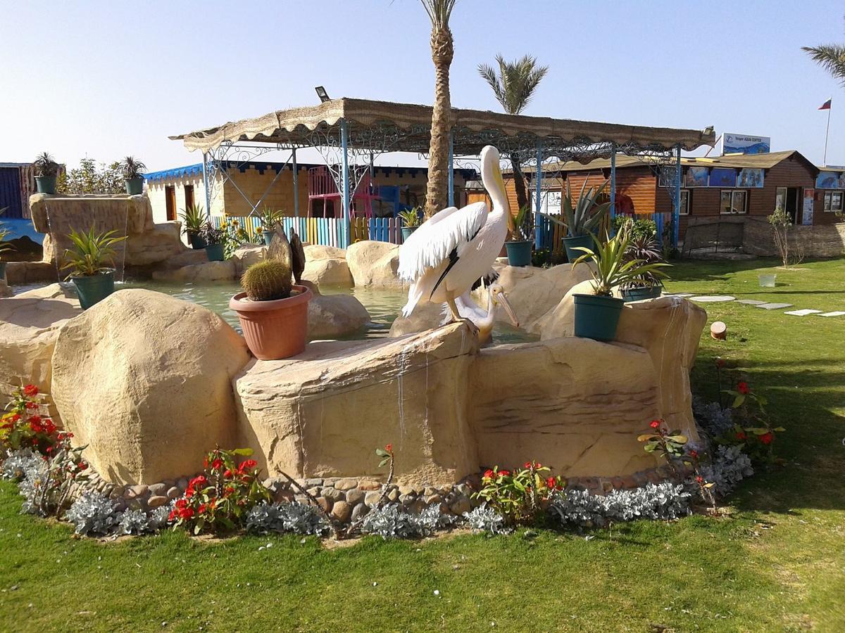Hotel Hawaii Riviera Club Aqua Park - Families And Couples Only Hurghada Exterior foto